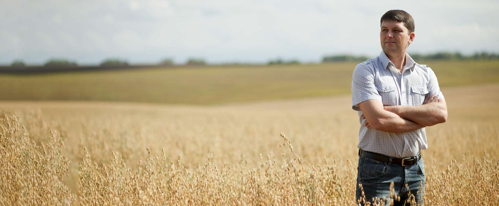Группа людей в поле. Мужская фотосессия в поле. Мужик в поле. Портрет в поле мужчина. Мужской портрет в пшеничном поле.